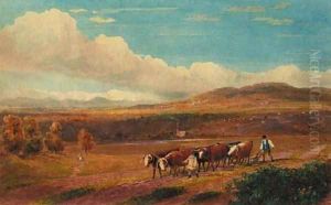 Ploughing with Oxen in Herefordshire with Stone Park and the Malvern Hills in the distance Ploughing with Oxen in Herefordshire with Stone Park and the Malvern Hills in the distance