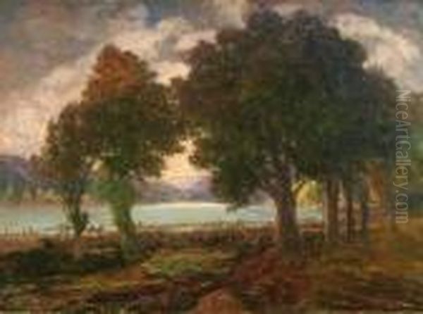 Paesaggio - view 1