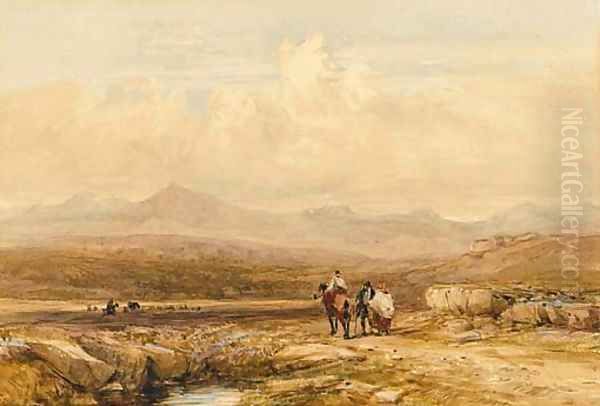 The Snowdon Range - view 1
