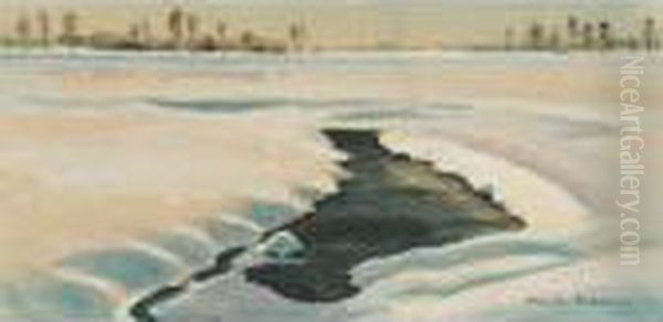 A Frozen Stream And Reflections - view 1