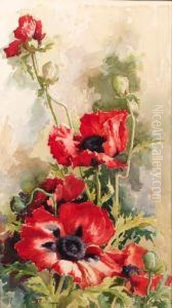 Blossoming Poppies - view 1