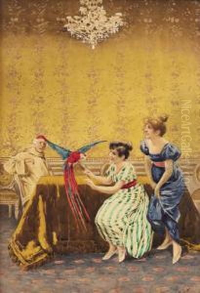 The Red Macaw - view 1