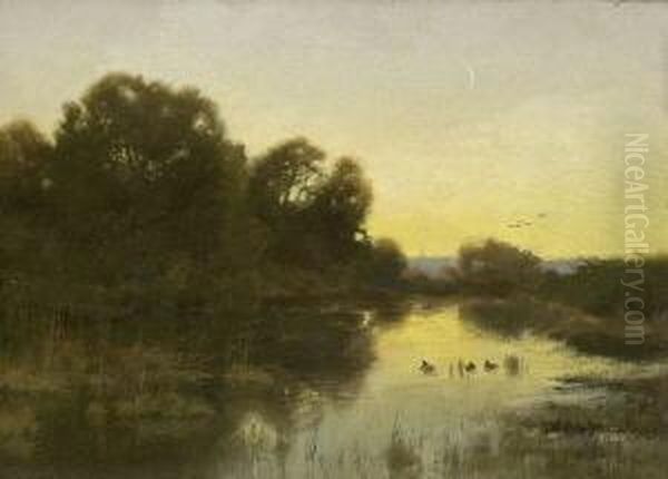 Nachtliche
Teichlandschaft. - view 1