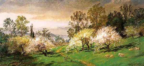 Flowering Trees - view 1
