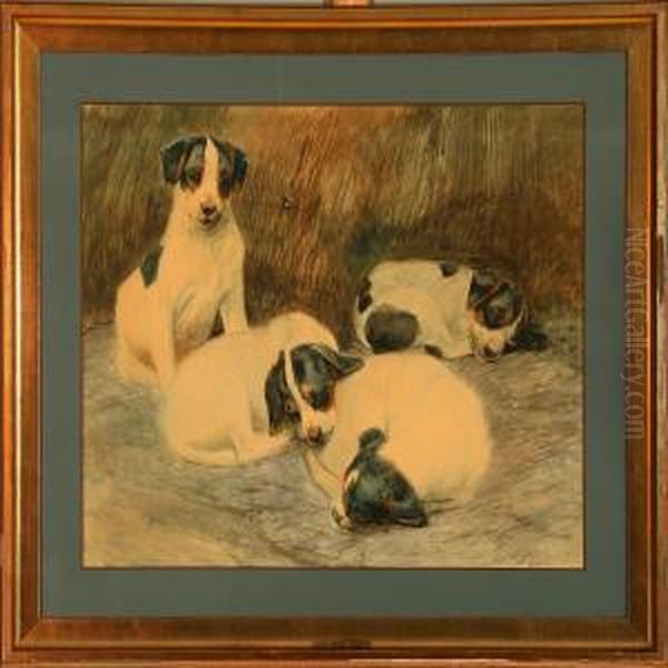 Four Puppies - view 1