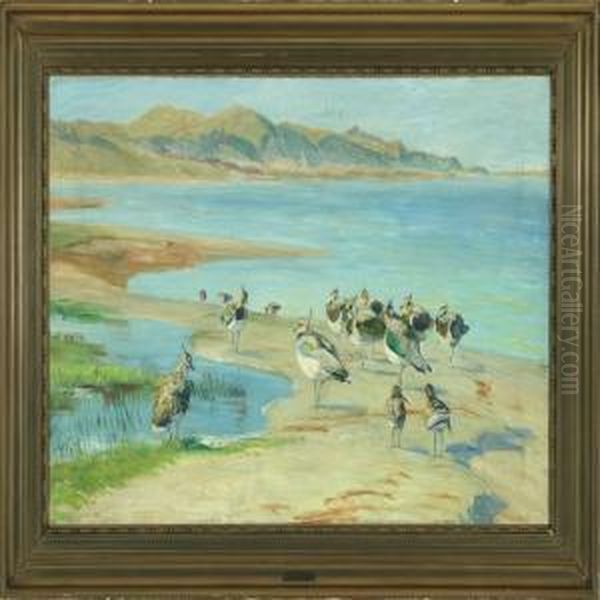 Lapwing On The Beach - view 1
