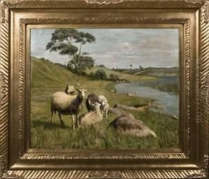 Fischer, Dutch Sheep In A Land by Vilhelm Theodor Fischer