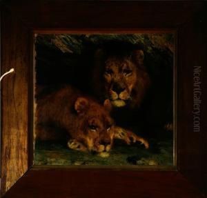 A Resting Lion Couple. Signed Vilh. Th. F. . Oil On Canvas. 43 X 45 Cm by Vilhelm Theodor Fischer