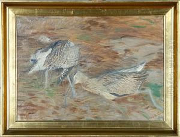Two Snipes - view 1