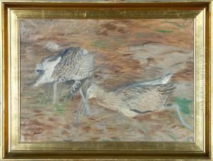 Two Snipes by Vilhelm Theodor Fischer