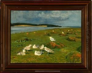 Danish Summer Landscape From Eno Island, Denmark Danish Summer Landscape From Eno Island, Denmark