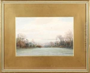 Wiseman's Wood, A Heathland Landscape by Adolf Fischer-Gurig