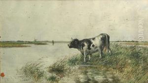 Cow Watering - view 1