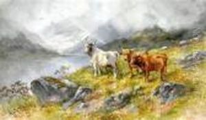 Highland Cattle In Landscape by Hugo Anton Fisher