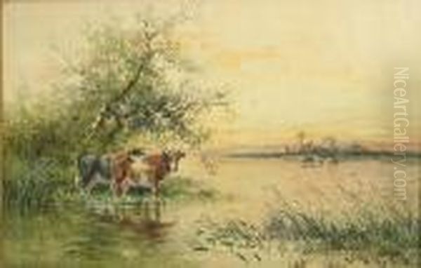 Cattle Watering - view 1