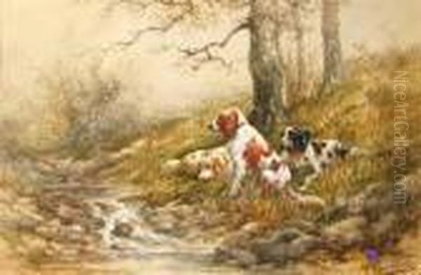 Setters Along The Stream - view 1
