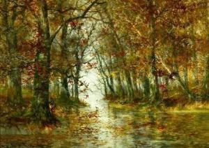 Forest Creek