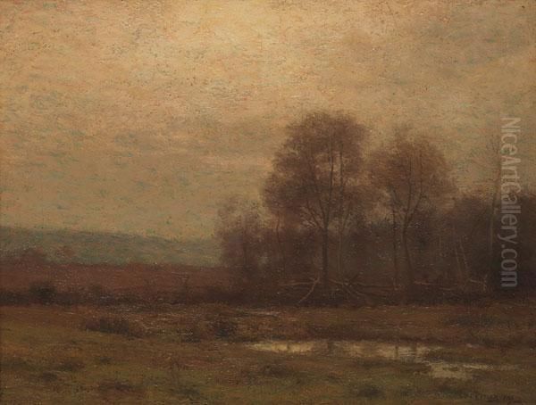 The Meadow At Dusk - view 1