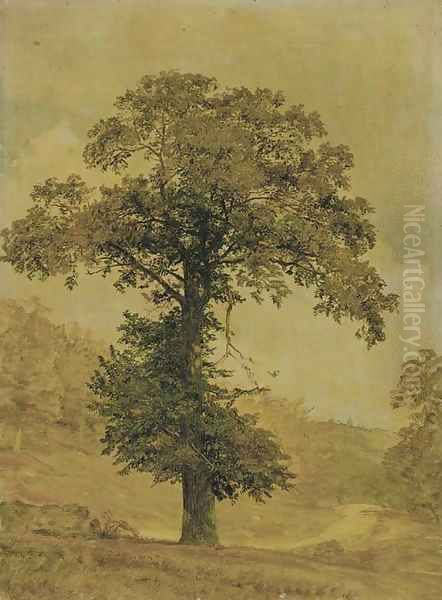 Study of a Tree - view 1