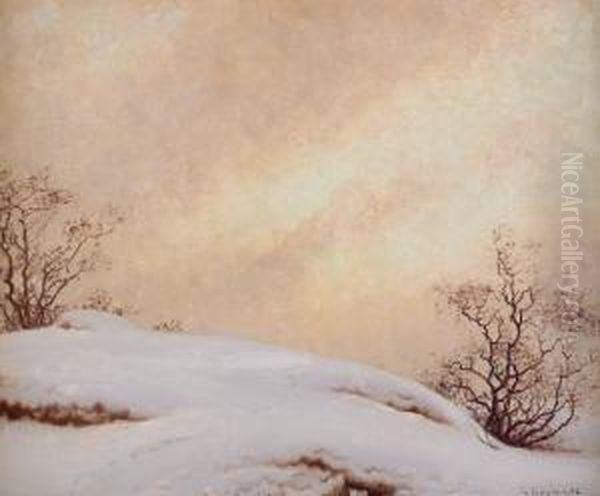 Vinterlandskap - view 1