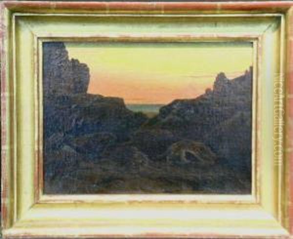 Leopards At Sunset - view 1