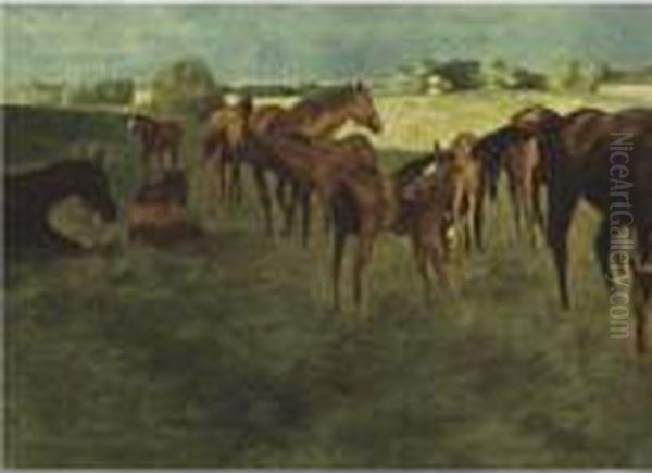 Mares And Foals, Faraway Farm, Lexington - view 1