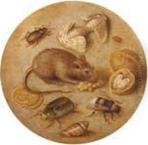 Stillleben Mit Einer Maus, Insekten, Munzen Und Walnussen by Georg Flegel