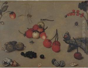 Still Life Studies Of Cherries, Shells, Berries, Peapods, Coins And Insects