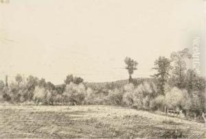 Une Prairie A Villers Une Prairie A Villers
