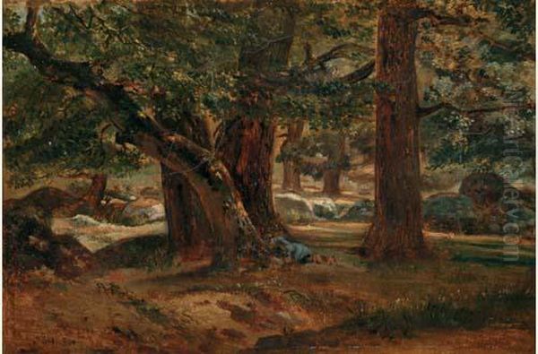 Sous-bois A Fontainebleau - view 1