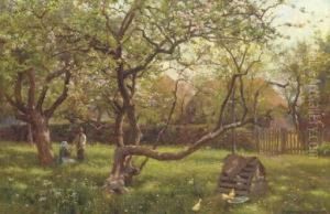 In The Orchard