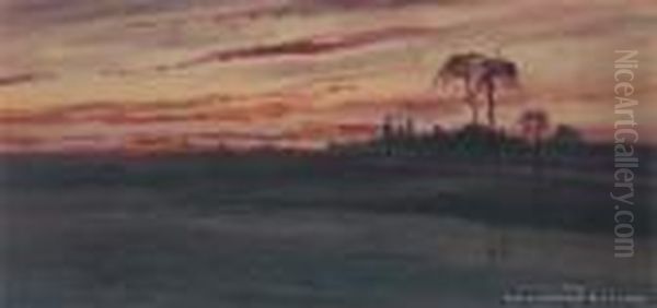 Oasis At Sunset - view 1