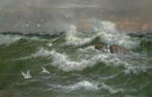 Seagulls Before Crashing Waves; Boats Off A Harbour