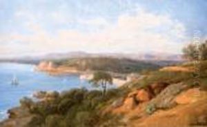 Baie De Nice Baie De Nice
