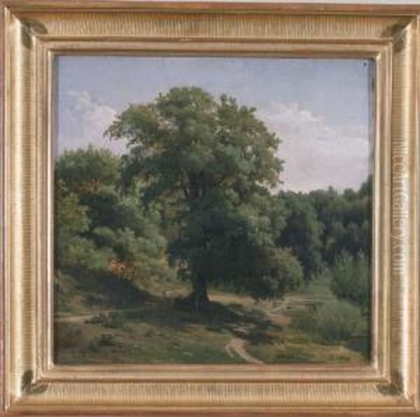 View Of A Forest Path, Fontainebleau - view 1