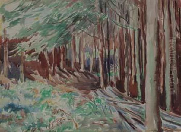 Woodland Scene - view 1