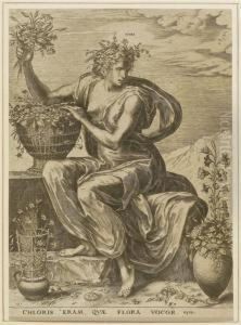 Flora