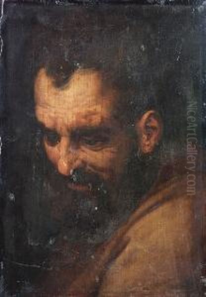 The Head Of A Bearded Man - view 1
