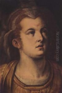 Head A Woman by Frans Floris