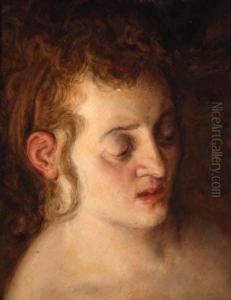 The Head Of A Woman - A Study The Head Of A Woman - A Study