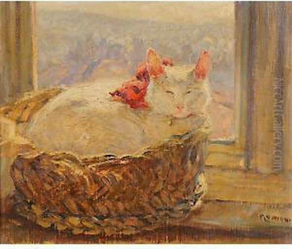 Gattini - view 1