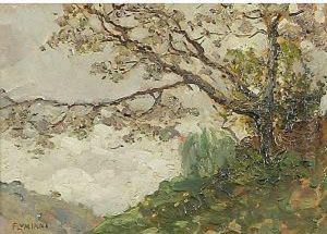 Albero In Fiore
