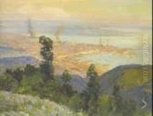 "veduta Di Trieste Dall'alto" - view 1