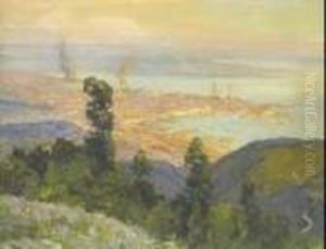 "veduta Di Trieste Dall'alto"