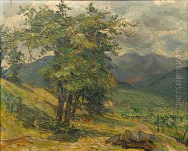 "paesaggio Con Albero" Olio Su Tela Firmato In Basso A Sinistra, In Cornice - view 1