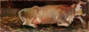 Mucca by Ruggero Focardi