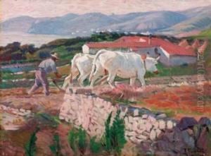 L'aratura