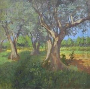 Oliveta by Ruggero Focardi