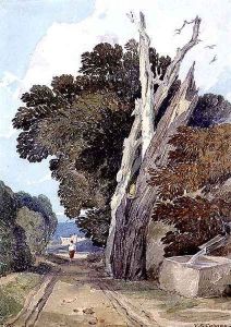 A Spanish Chestnut Tree Struck by Lightning by John Sell Cotman
