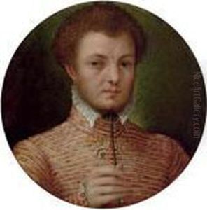 Portrait Of A Gentleman,
Bust-length, In A Red And Yellow Brocade Jacket, With A Lace Collar by Lavinia Fontana